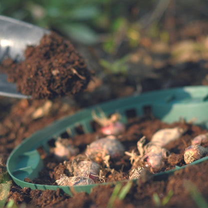 UPP Zwibu - 2 in 1 Gartensieb und Aufbewahrungsbox