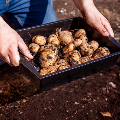 UPP Gartensieb 2-in-1 mit einstellbarer Maschengröße | 4 oder 10 mm