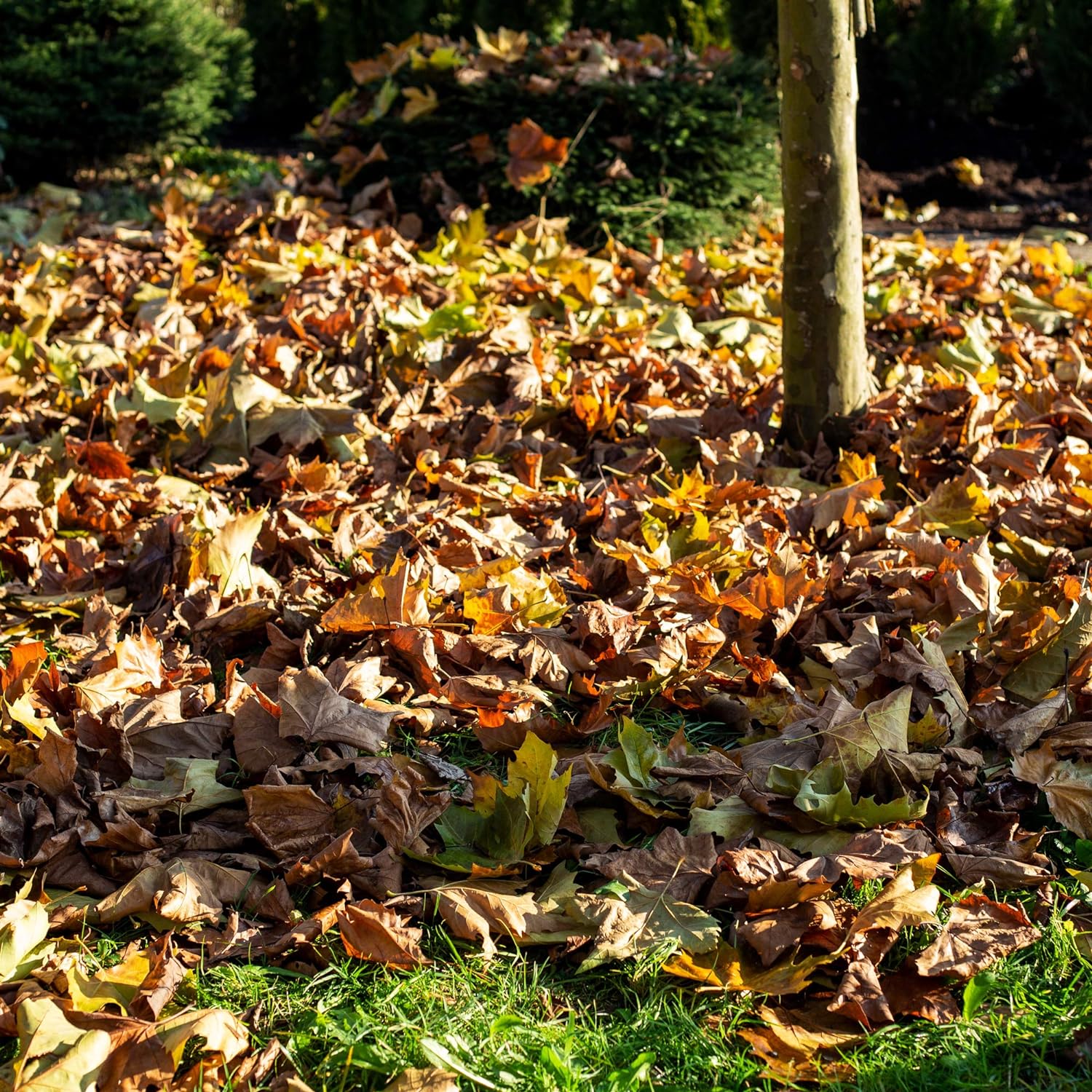 UPP 3 in 1- Hof - &amp; Gartenschaufel ohne Stiel